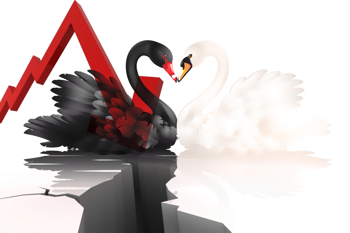 Ασπροι γκρι μαύροι κύκνοι